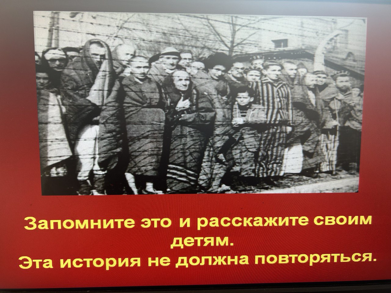 30 января в рамках мероприятий Всероссийской акции, посвященной 80-летию со дня освобождения концентрационного лагеря Освенцим, в гимназии прошли занятия, на которых обучающиеся обсудили геноцид советского народа, совершенный нацистами и их пособниками в.